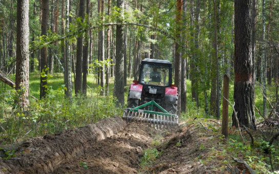 Рослесхоз ввел новую методику оценки лесного хозяйства регионов